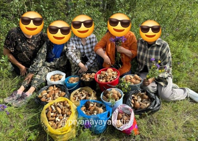 В Нюрбинском улусе грибной год