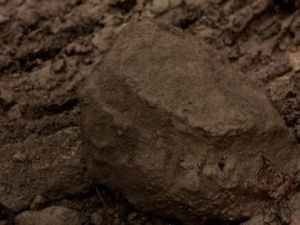 Якутское предприятие незаконно добывало и поставляло бурый уголь