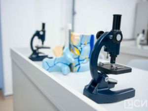 Обнаружены уникальные экземпляры беспозвоночных животных среднего кембрийского периода