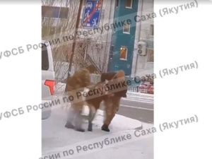 В Якутии вынесен приговор владельцу интернет-магазина по продаже наркотических средств