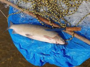 Мужчина выплатил более 100 тысяч рублей за незаконную рыбалку