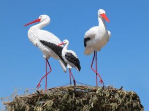 Территорию, прилегающую к учреждениям, украсили фигуры птиц