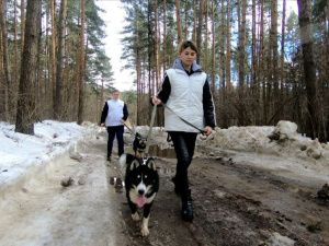 Мы в ответе за тех, кого приручили молодогвардейцы оказали помощь приютам во Всемирный день бездомных животных