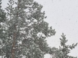 «Температурные качели» в Якутске берут разбег