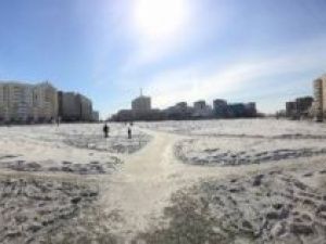 Был скотомогильник или нет? В Якутске начинают отбор проб почв на пустыре в центре города