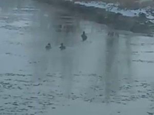 В Якутске и Хатассах замечены первые утки