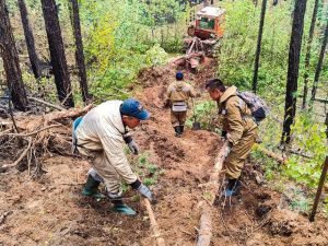 Новых лесных пожаров в Якутии не обнаружено