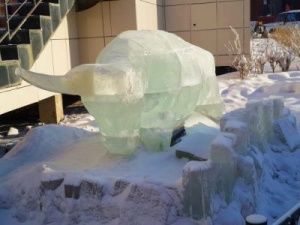 Сегодня у Быка Холода — Эhээ Дьыла вырос первый рог