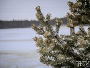 В Якутии представили туристические маршруты для активного семейного отдыха