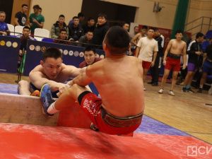 В Якутии определили лучших мас-рестлеров турнира «Новые имена»