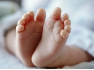 10317 малышей родилось за год