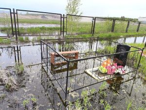 Вопиющие нарушения на кладбищах