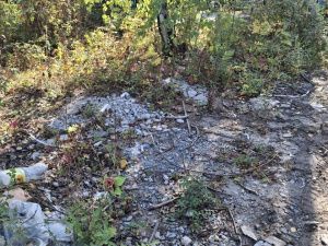 Контроль за работами, ровные ряды и благоустройство территории: что изменится на кладбищах Якутска