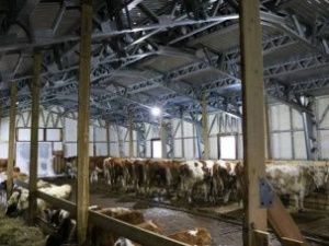 Следком проводит проверку по факту смерти мужчины в Хангаласском улусе