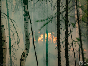 В Якутии действуют восемь лесных пожаров в Верхоянском и Эвено-Бытантайском районах