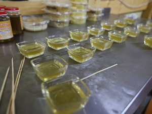 Хозяйство якутян Ионовых планирует стать племенным репродуктором республики по пчеловодству