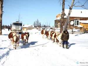18 лет трагедии в Сыдыбыле...  История о погибших героях-детях и сбежавших учителях