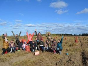 Даешь Урожай Fest!