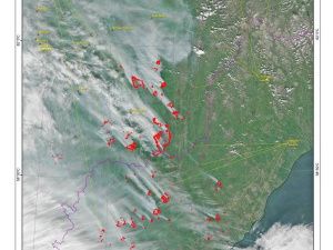 Повлияет ли задымленность на движение паромов?