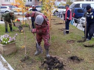 Итоги экологической акции «Пригороды - городу»: 884 новых дерева за одну неделю