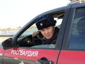 Автопатруль Росгвардии задержал угонщика