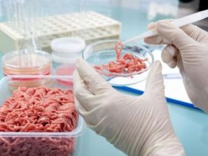 За полгода Роспотребнадзор Якутии забраковал 50 партий мяса