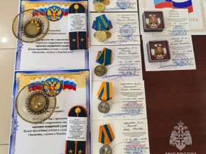 Чествование героев МЧС России в преддверии Дня защитника Отечества