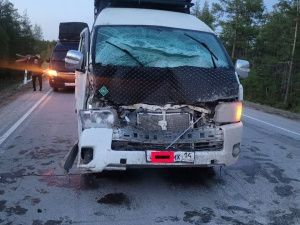 В Якутии таксист сбил на трассе корову и перерезал ей горло