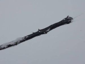 Ростелеком: кабель в Алдане повредили злоумышленники