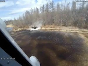Поохотились! Власти Якутии сообщают, что поймали браконьеров