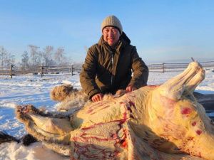 Глава Якутии принял участие в традиционном забое скота