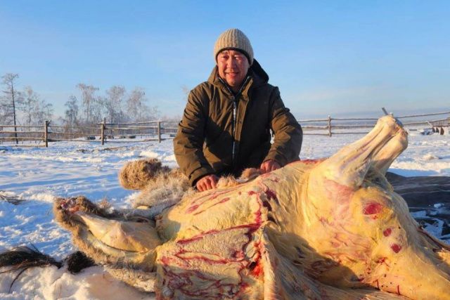 Глава Якутии принял участие в традиционном забое скота