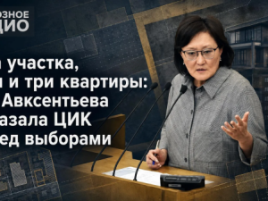 Два участка, дом и три квартиры: что Авксентьева показала ЦИК перед выборами