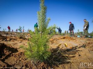 Новые зелёные технологии помогут сохранить природный капитал