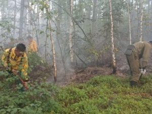 В Якутии за сутки потушили четыре лесных пожара. Найдено четыре новых очага