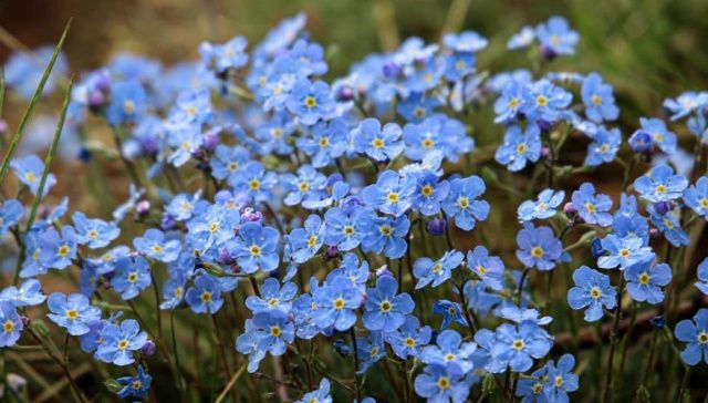 Прогноз погоды в Якутске на понедельник, 2 августа