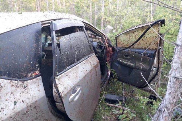 В Якутии автомобиль врезался в лошадь. Пострадали два человека