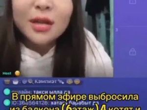 Решается вопрос о возбуждении уголовного дела в отношении жительницы Якутска, выбросившей котят с шестого этажа в прямом эфире