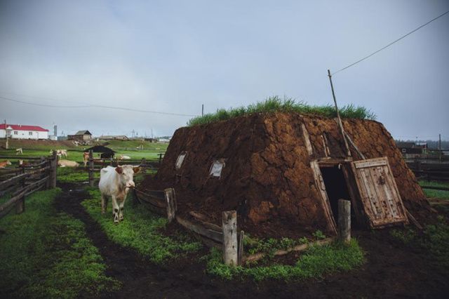 Сардана Авксентьева: Чувствуете весну в воздухе?
