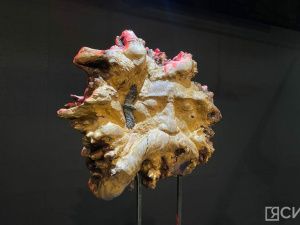 В Якутске открылась персональная выставка скульптора Николая Чоччасова