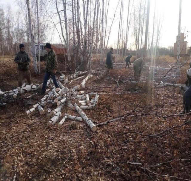 Нюрбинские госинспекторы заготовили и доставили дрова для семей участников СВО