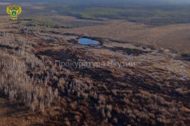 Суд обязал виновника лесного пожара в Нюрбинском районе Якутии выплатить 100 тысяч рублей