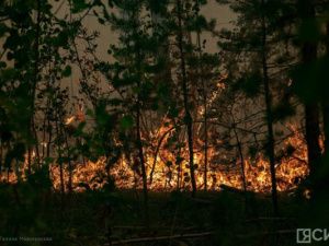 Лесной пожар обнаружен в Верхнеколымском районе
