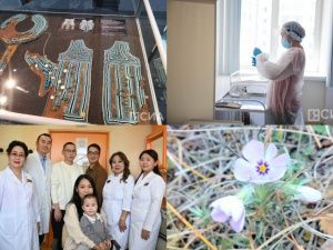 Обзор популярных и интересных новостей за 25 сентября в Якутии