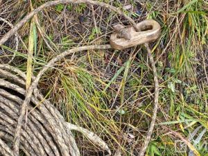 Фото и видео: как делается аркан из оленьей шкуры