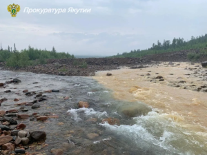 ООО «НордГолд» устроило экологическую катастрофу