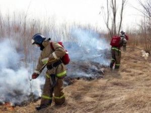 Пожарные ликвидировали горение травы на Зеленом лугу
