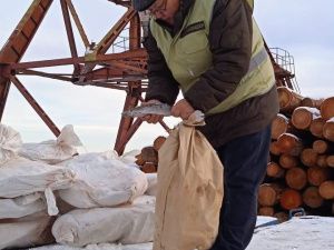 В Якутии выявлено превышение нормы мышьяка в мороженой рыбе