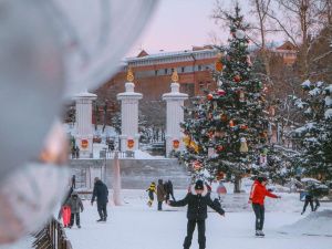 Каток, глэмпинг и собачьи упряжки: где отдохнуть зимой в Хабаровском крае
