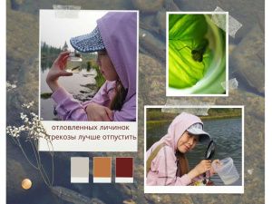 Завершен второй сезон сетевого проекта "Научное лето онлайн 2021"